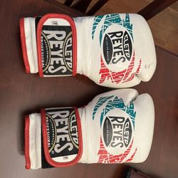 Cleto Reyes Boxing Gear 