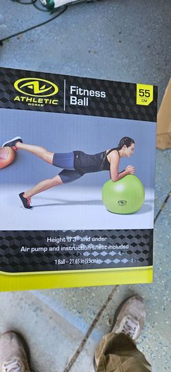 Fitness Ball 55 cm workout ball