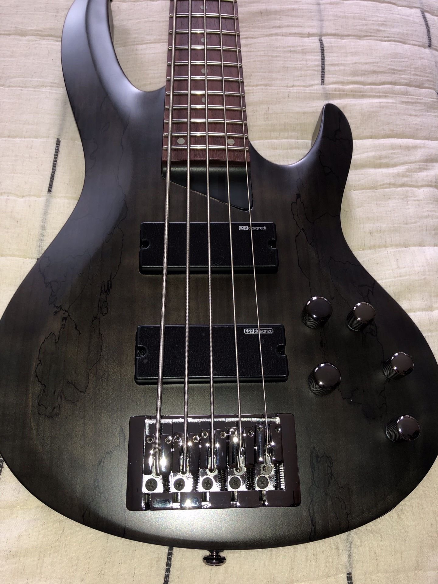ESP LTD B-205SM Spalted Maple Bass Guitar, See Thru Black Satin