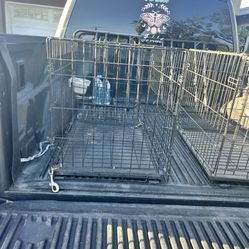 Birds Cage