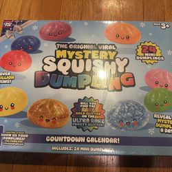 RMS Deluxe Squishy Dumpling Mystery Surprise Toy Advent Calendar