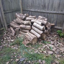 Firewood