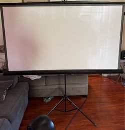 Projector Screen