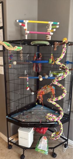 Bird cage
