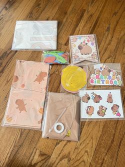 Capybara Birthday Decorations NEW
