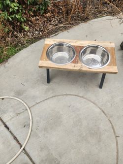 Dog Bowls