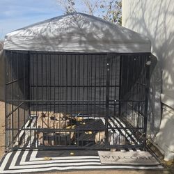 Large Outdoor Dog Kennel w/ Weather Cover – Like New (2 Months Old)