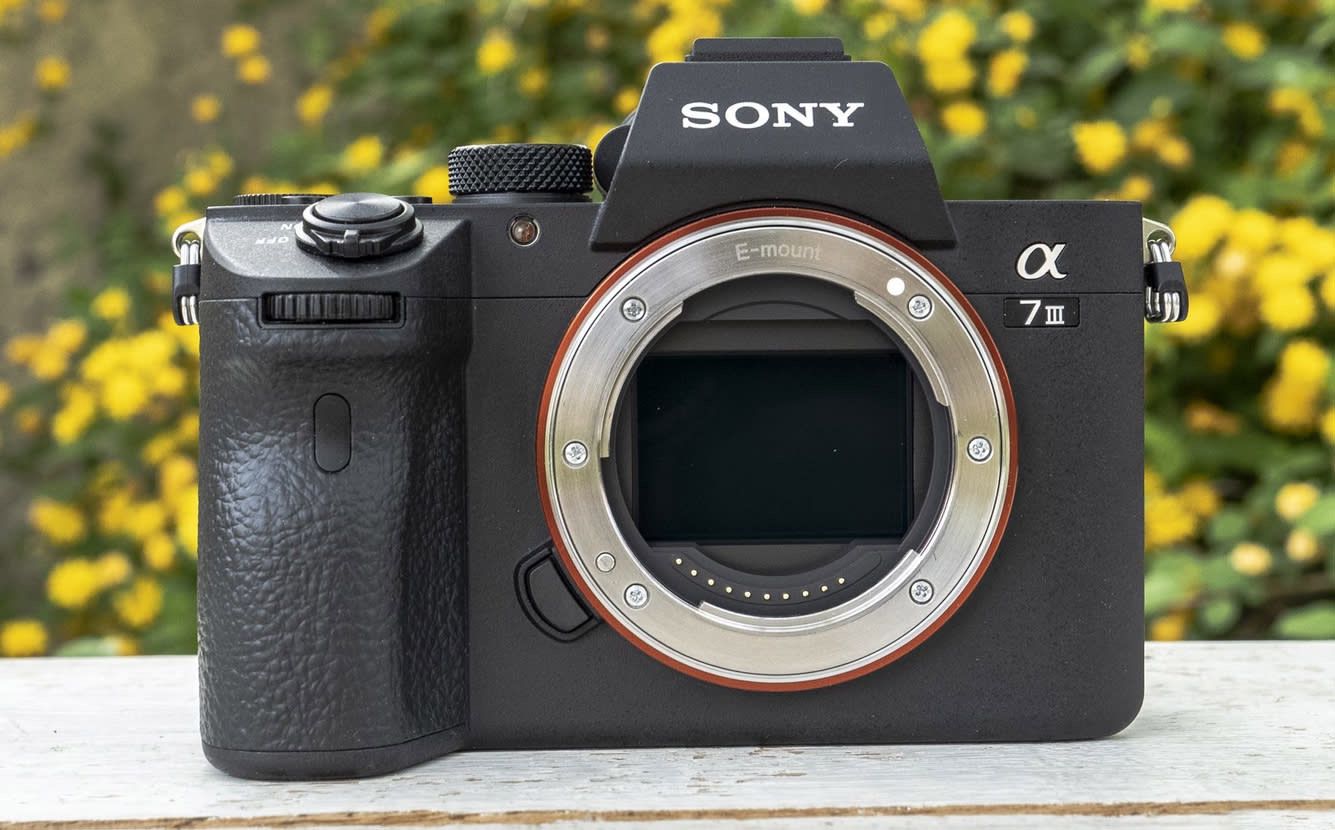 Sony A7iii + Canon 90D
