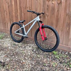 Specialized P4 (raw aluminum)