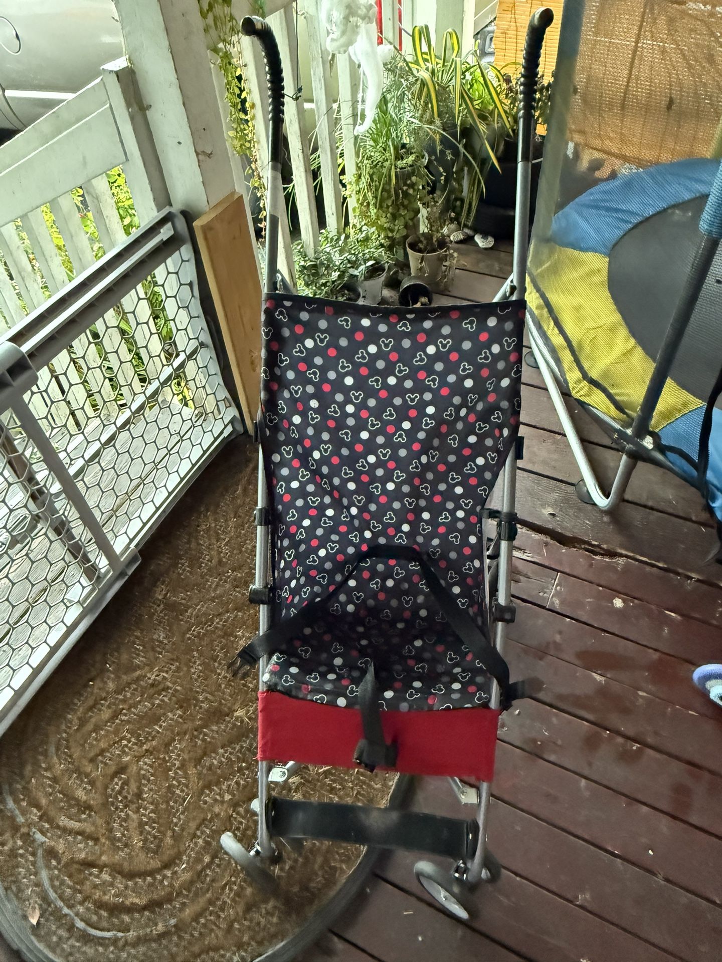 Mickey Stroller