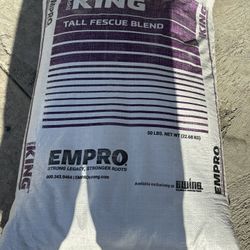 Tall Fescue Grass Seed