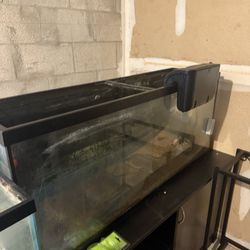 55 Gallon + 60 Gallon Fish tank 