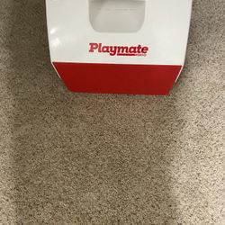 Playmate Igloo Cooler 