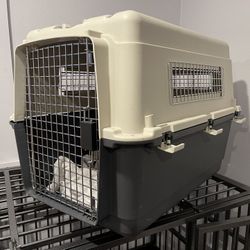 Dog Kennel
