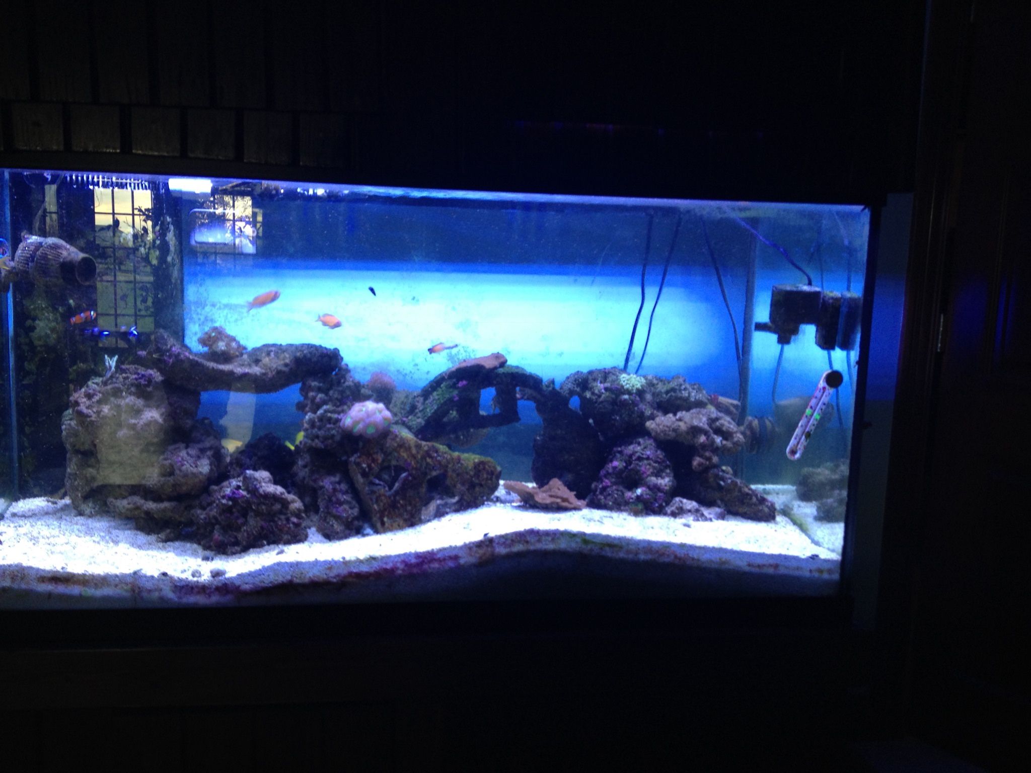 Saltwater Aquarium Supplies Heaters Powerheads Reefkeeper