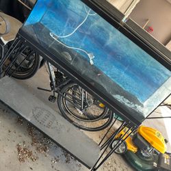 Large fish tank