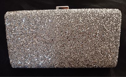 Silver Purse