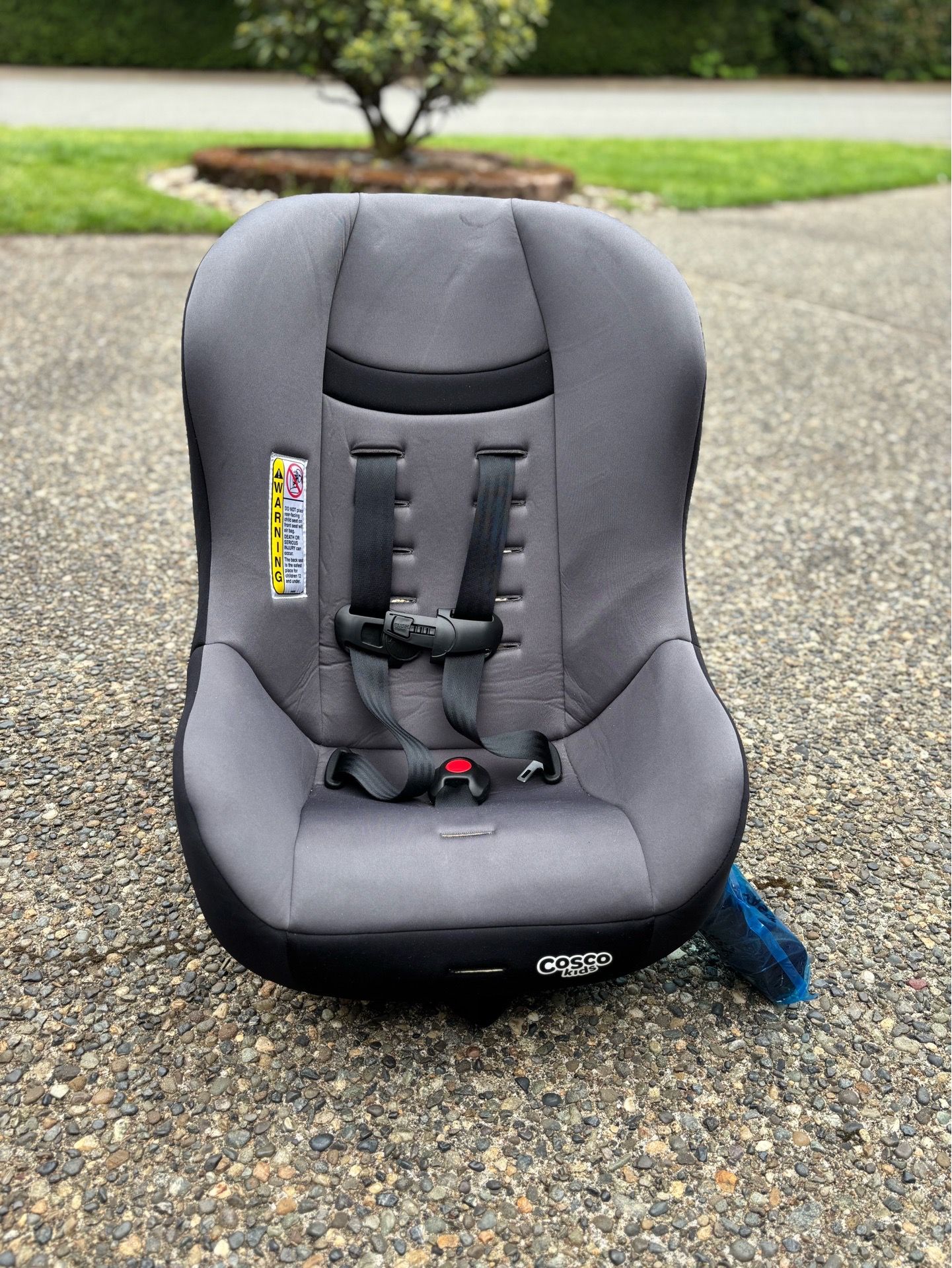 Cosco Kids Convertible Car Seat - Great Condition!