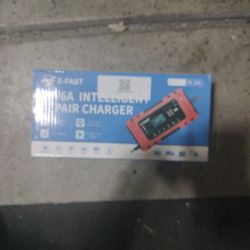 Car Battery Charger 