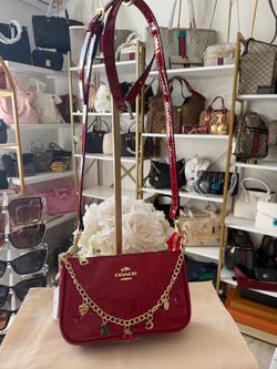 ♥️Coach Teri Mini Crossbody Bag