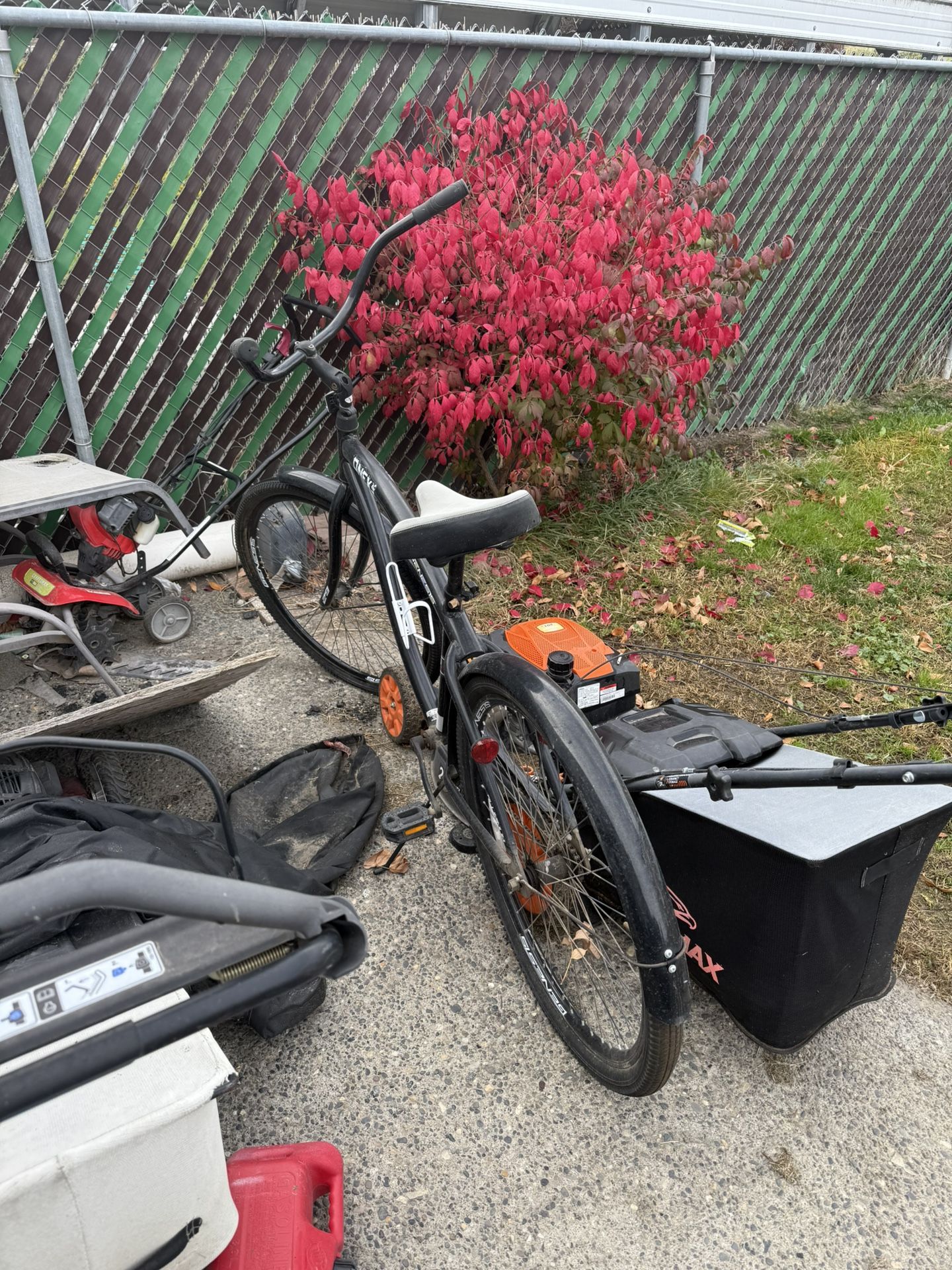 Cruiser Bike