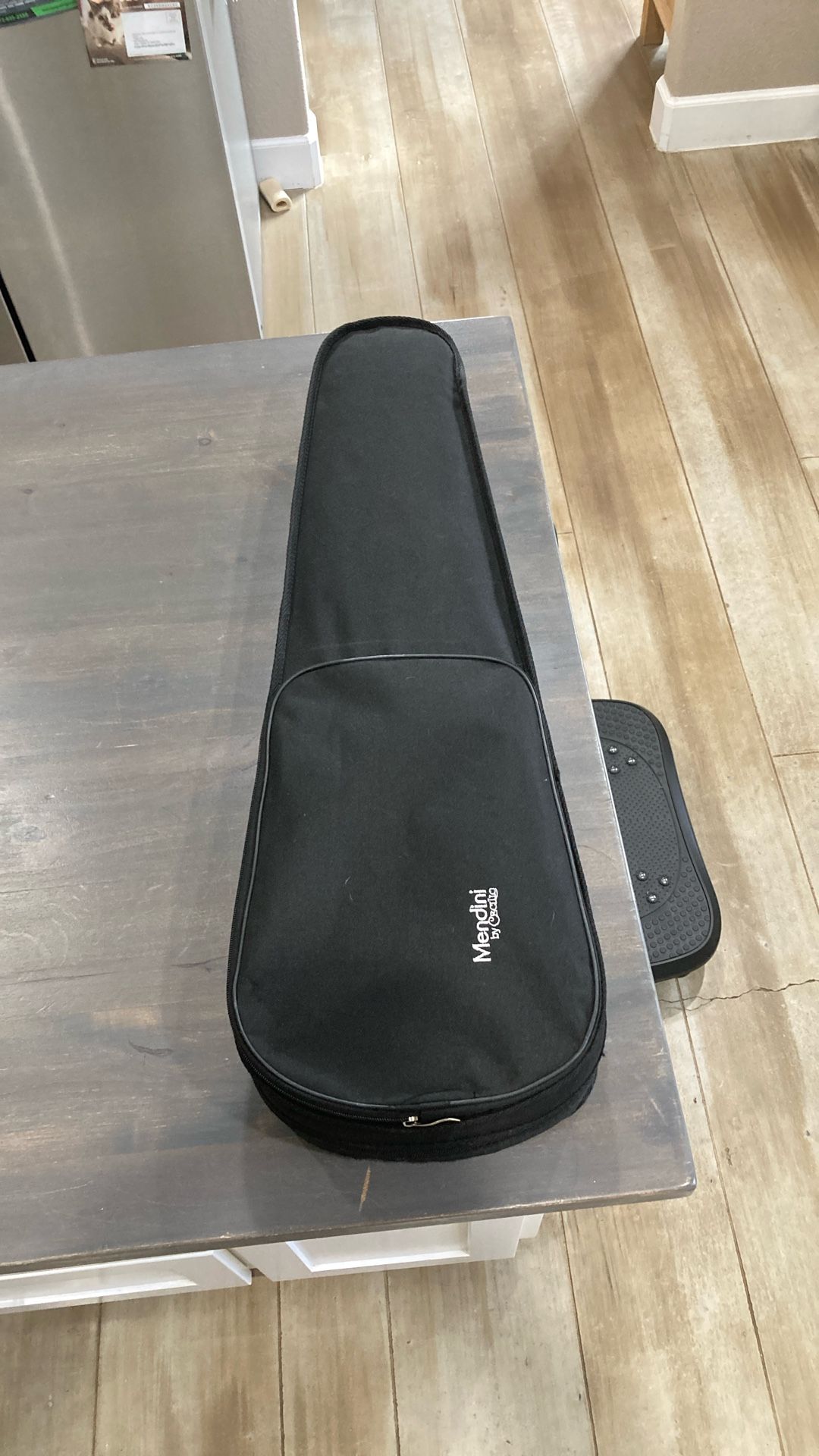 Violin Case 