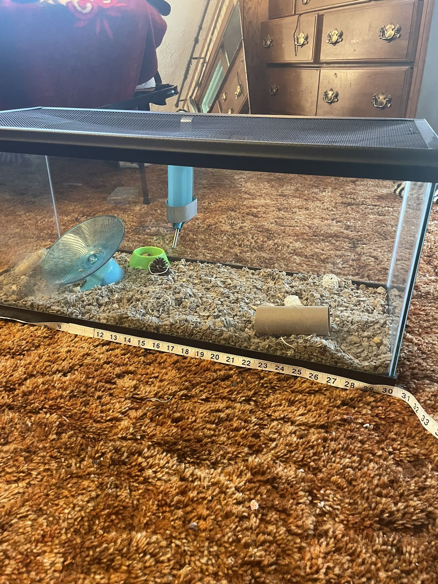 Glass Rodent Cage