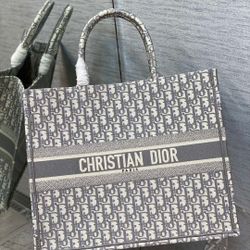 Dior Book Tote Bag