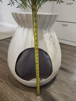 Baño para gatos