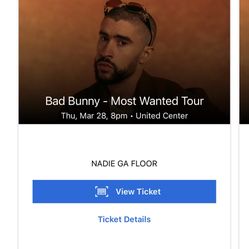 Bad Bunny Floor Seats