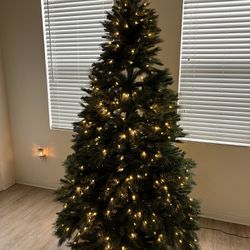 Christmas Tree with Lights