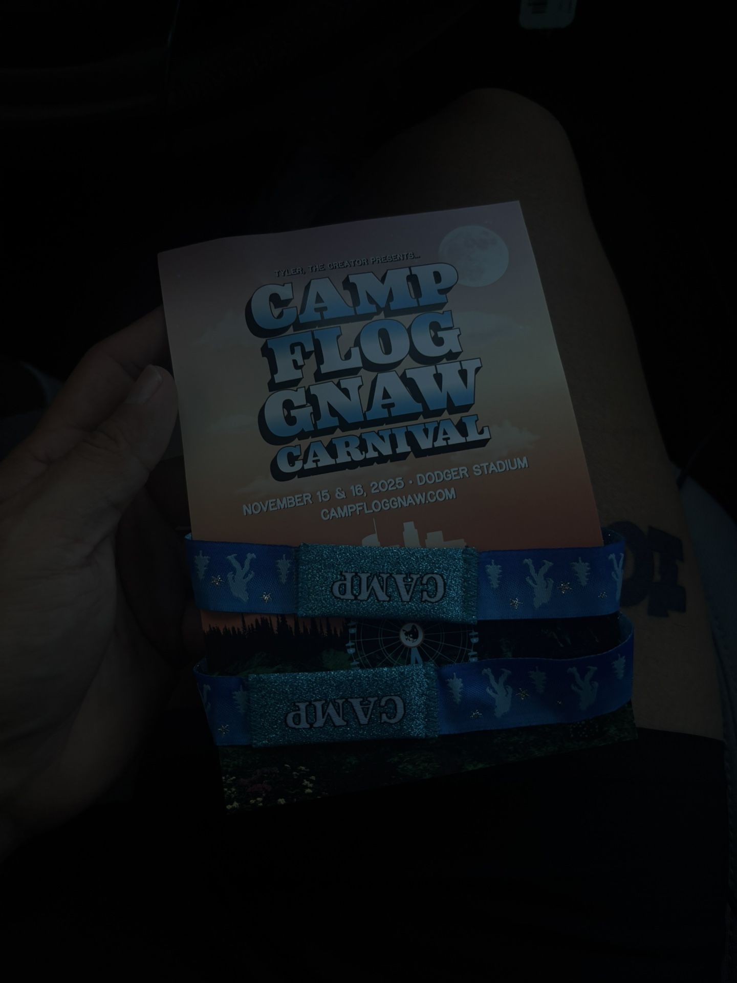CAMP FLOG GNAW TICKETS 