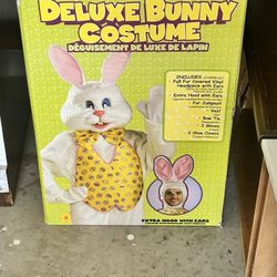 Easter Bunny Suit