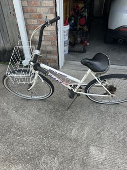Gold Coast Giant Bike
