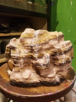 Reptile hide