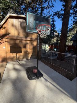 Basketball Hoop! Free standing and weighted