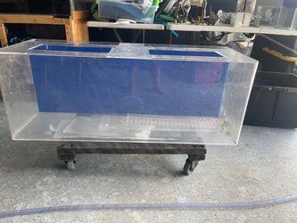 Fish Tank
