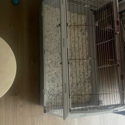 Rabbit Cage