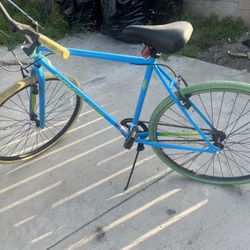 Fixie Bike
