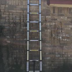 Telescopic Ladder