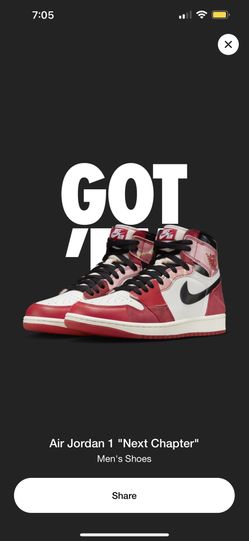 Jordan 1 Next Chapter DS Size 12 