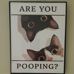 ARE YOU POOPING? Framed 8 X 10   Humorous Picture for bathroom