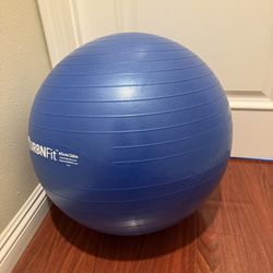 URBNFit Exercise Ball - Yoga Ball in Multiple Sizes for Workout, Pregnancy, Stability - Anti-Burst Swiss Balance Ball