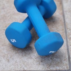 5 Lb Dumbells
