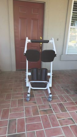 Vive Health Transport Stand Assist