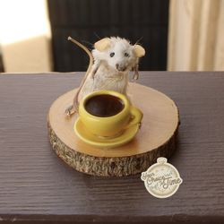 Taxidermy mouse