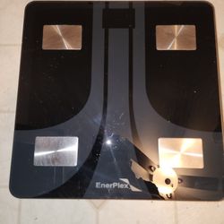 Digital Body Weight Scale