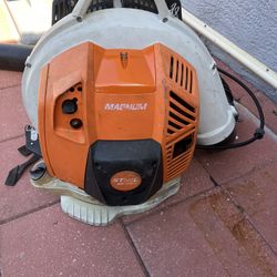 Stihl BR800 