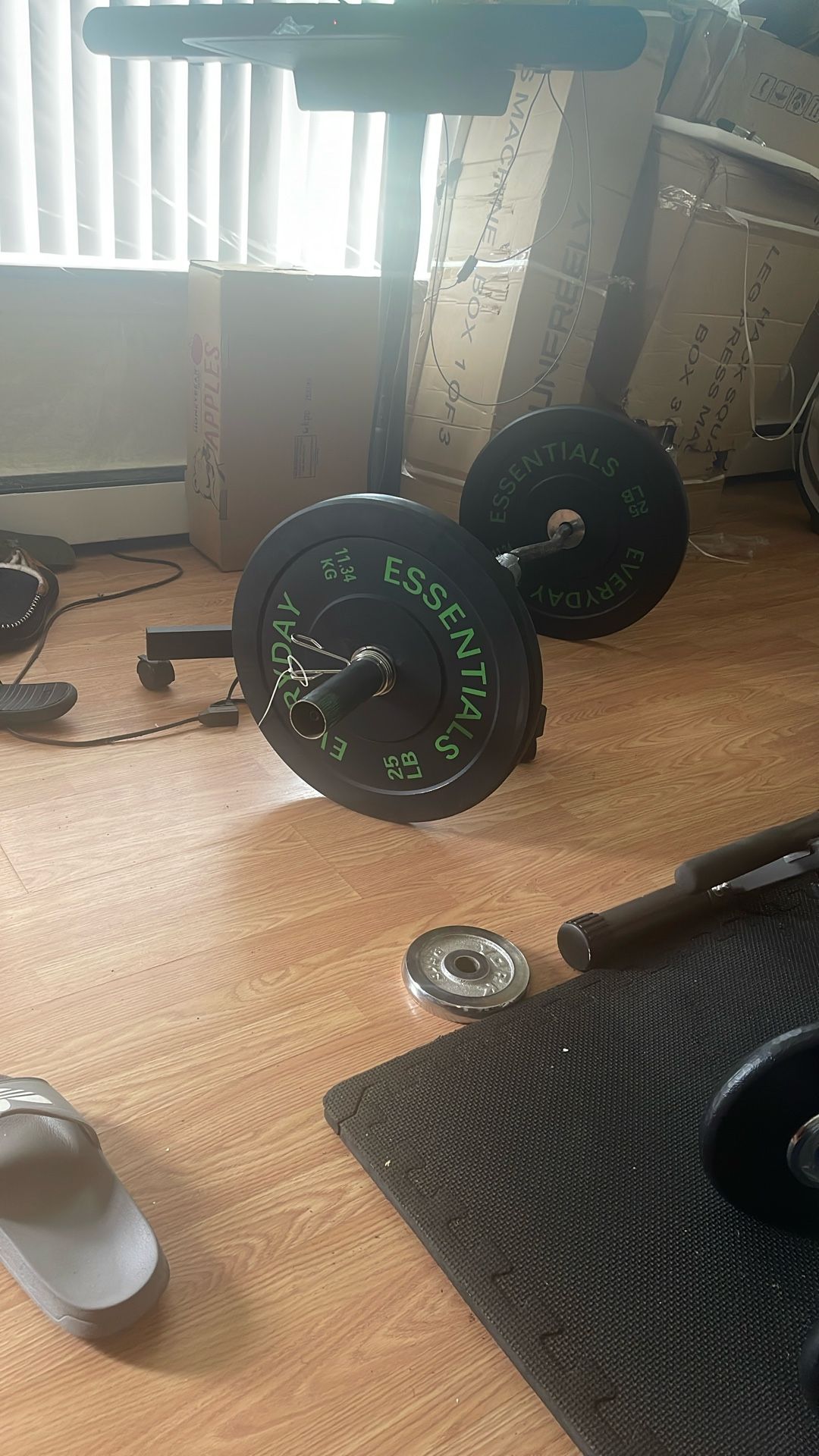 Bumper Plates