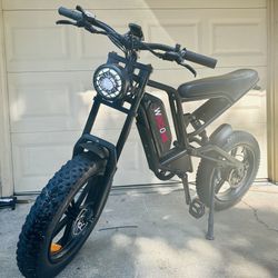 WINDONE E2 FAT TIRE OFF-ROAD Electric Bike Ebike